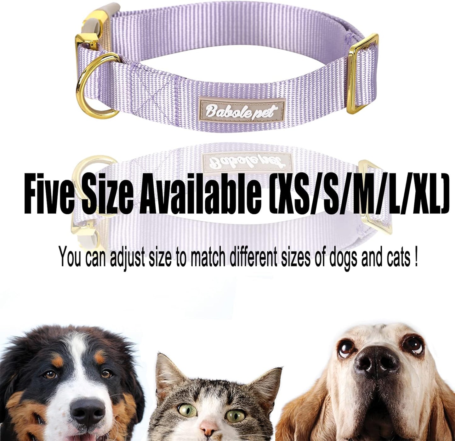 Babole Nylon Dog Collars Lavender for Small Puppy Dog,13 Colors,Adjustable Soft Comfortable Pet Collars with Safety Metal Buckle for Medium Large Boy&Girl&Female Dog(S)